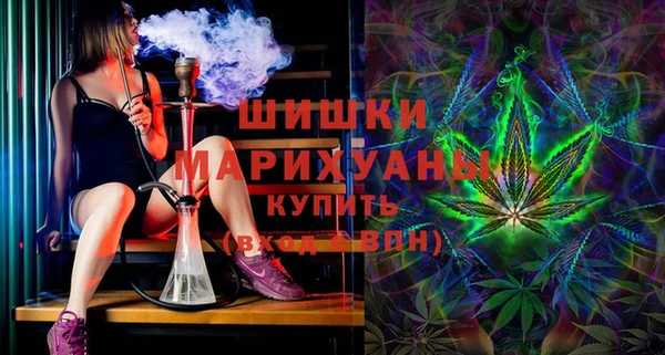 ГАЛЛЮЦИНОГЕННЫЕ ГРИБЫ Михайлов