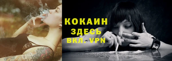 молекула духа Медногорск