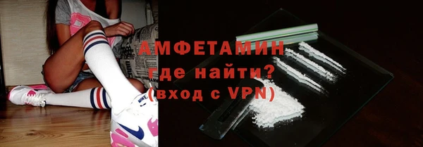 ГАЛЛЮЦИНОГЕННЫЕ ГРИБЫ Михайлов