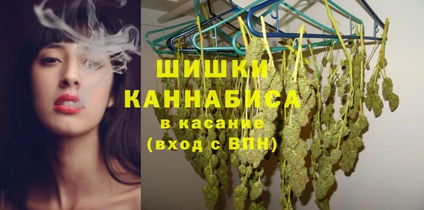 ГАЛЛЮЦИНОГЕННЫЕ ГРИБЫ Михайлов