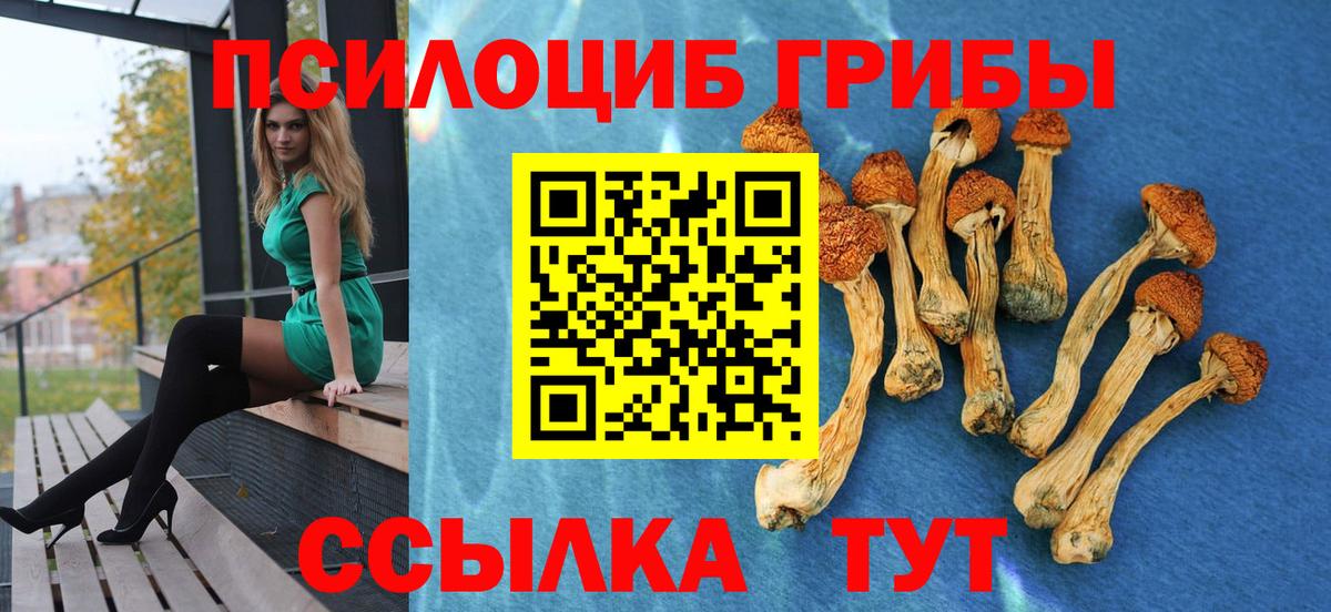 Псилоцибиновые грибы прущие грибы Курган