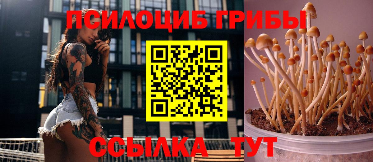 Курган  Галлюциногенные грибы мухоморы  Вход с VPN 