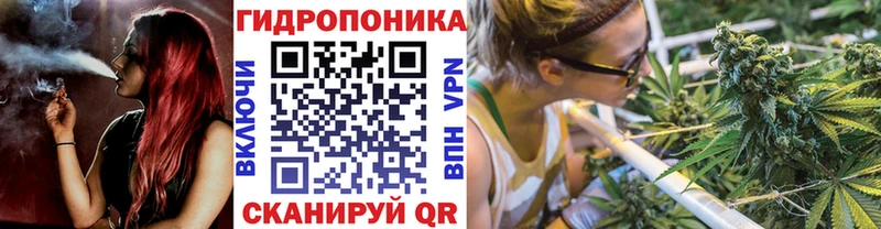 магазин продажи наркотиков  Курган  МАРИХУАНА семена 